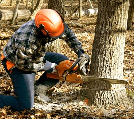 Tree Removal in Ridgeview, SD
